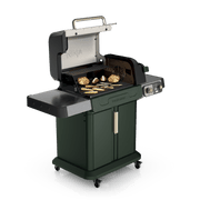 Ninja™ FlexFlame™ Grill and Smoker in Green